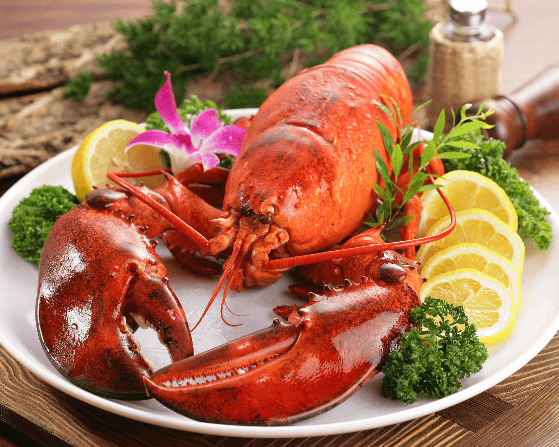 Where to eat your Cape Breton lobster