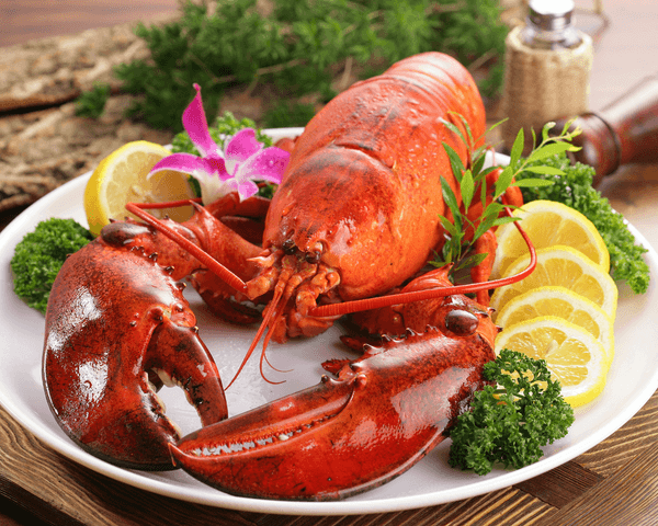 Where to eat your Cape Breton lobster