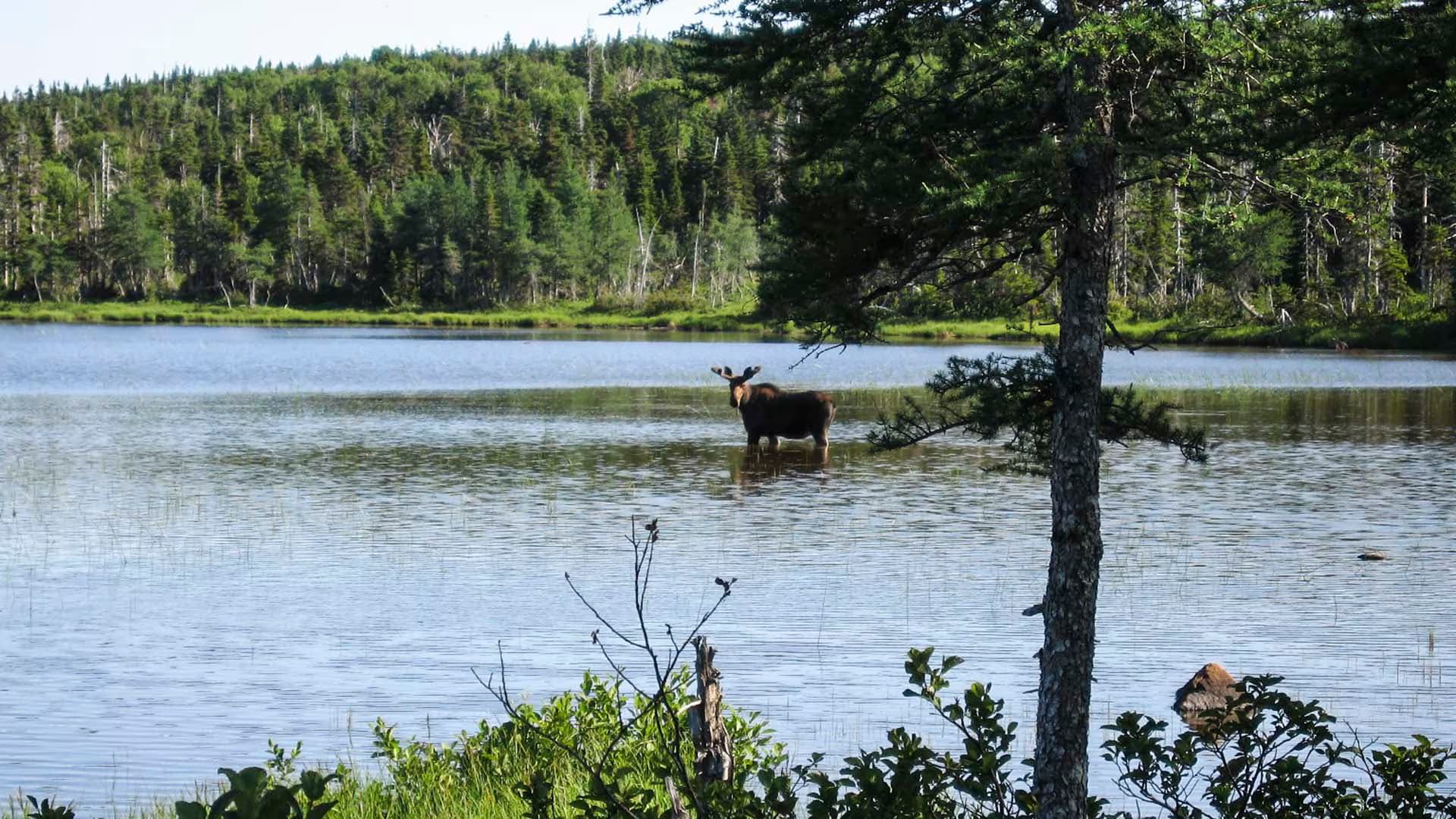 Benjie’s Lake Trail