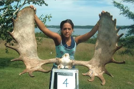 Cape Breton Antler Art