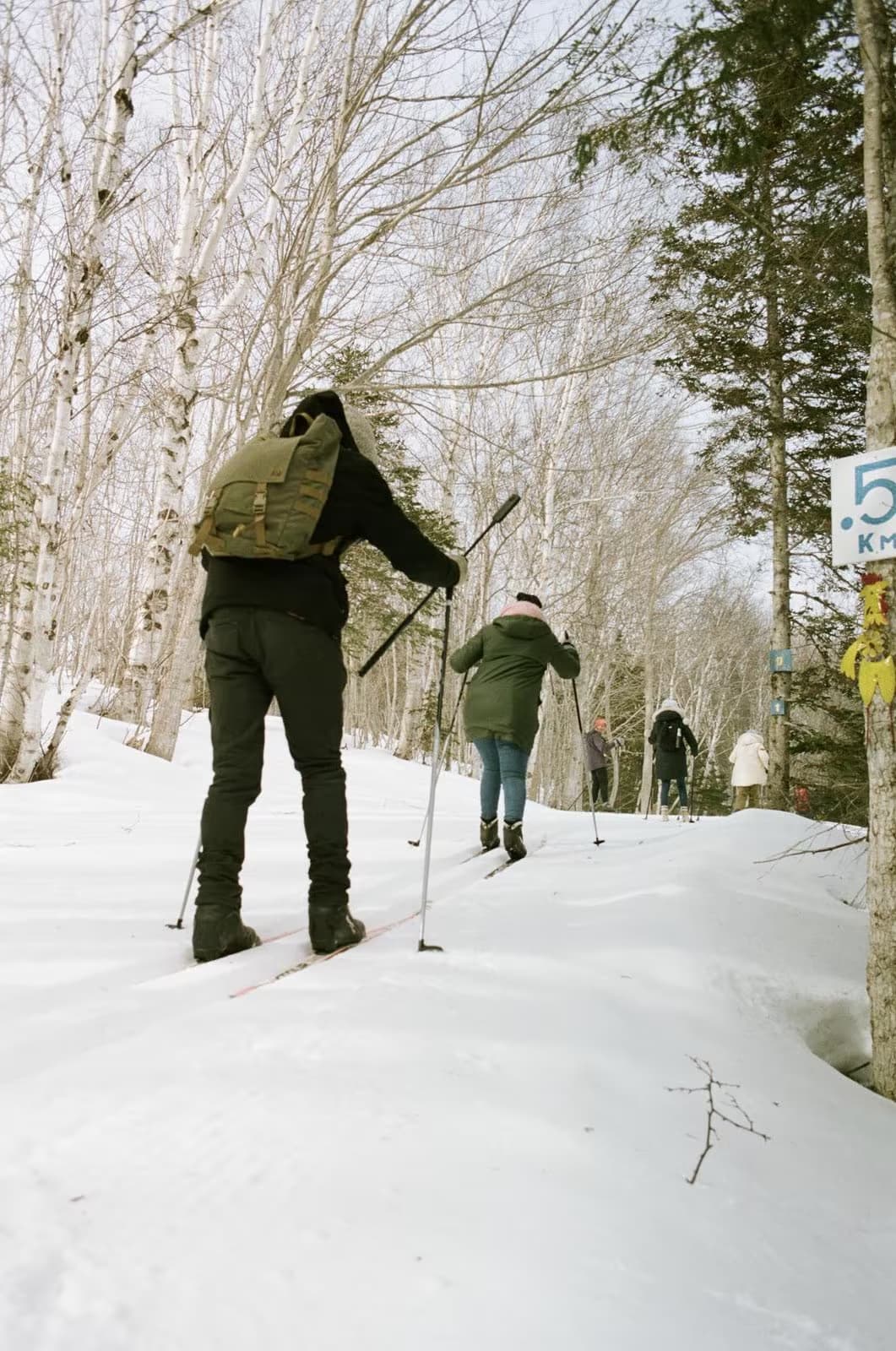 Cape Breton Nordic Ski Club