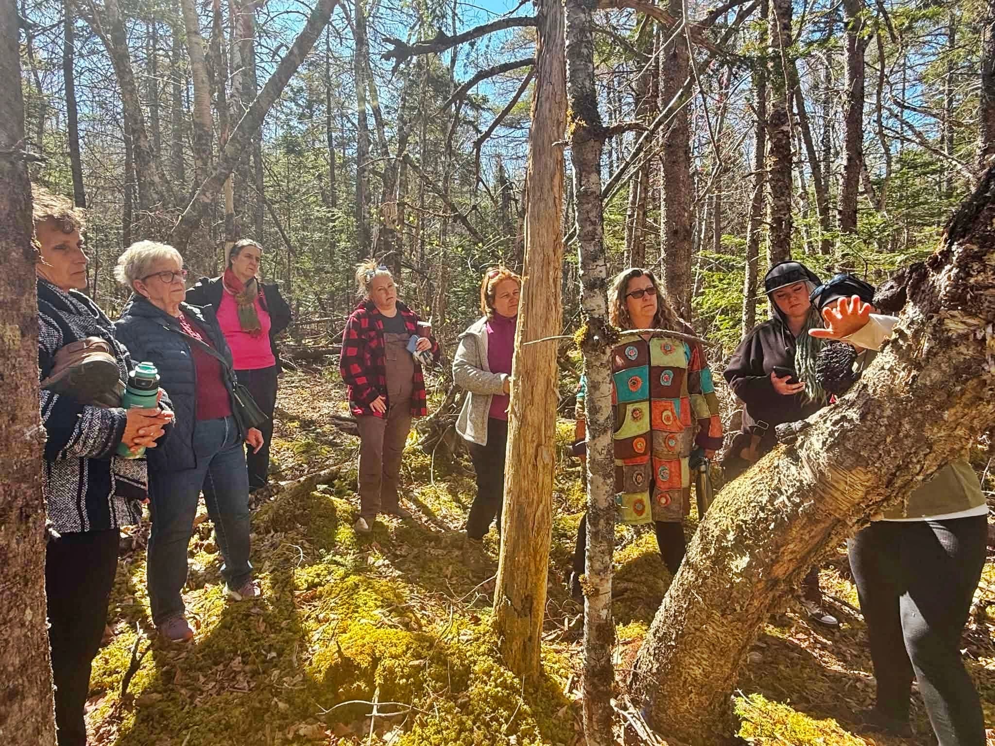 Guided Nature Immersions