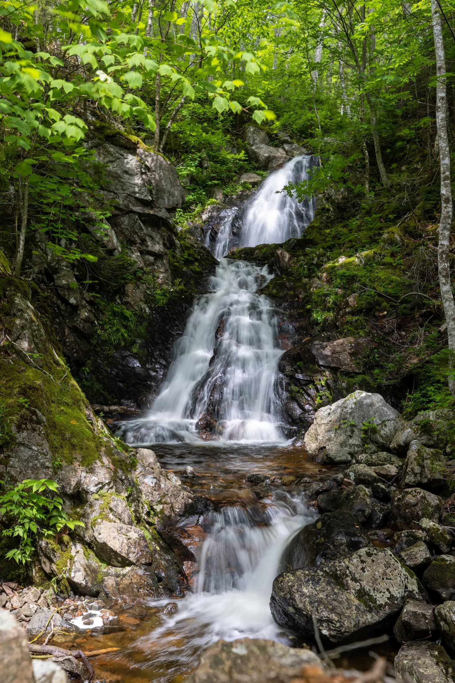 Corney Brook Falls and Trail