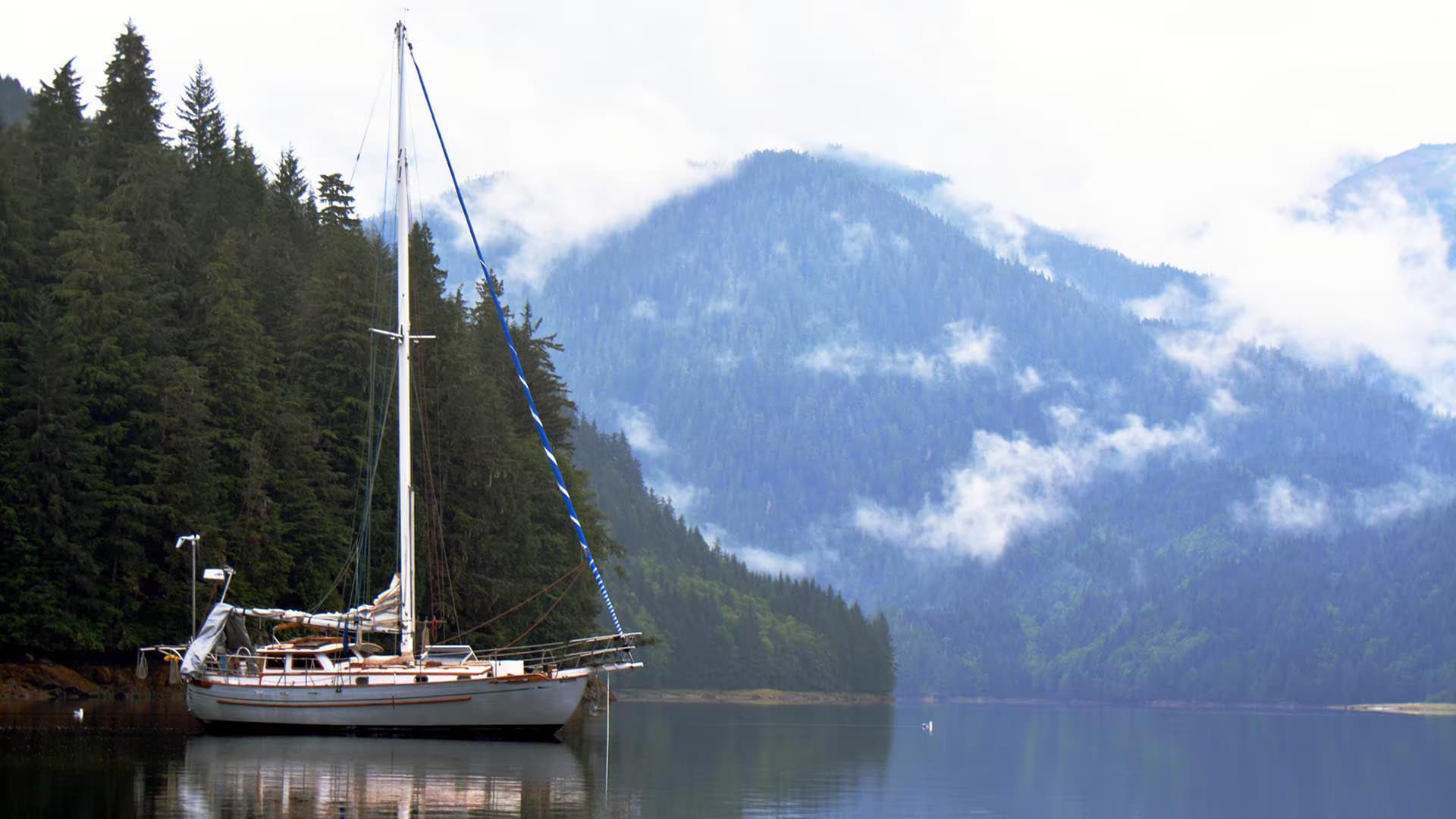 Cruise and Learn Adventure Sailing School