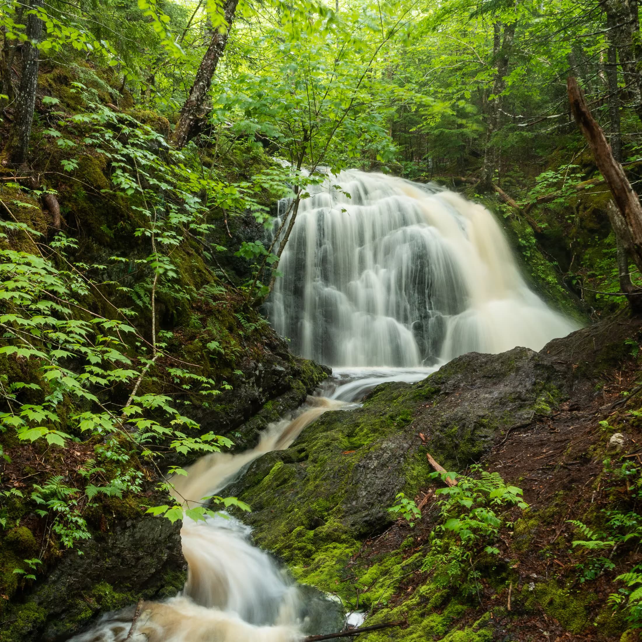 Devils Hill Falls