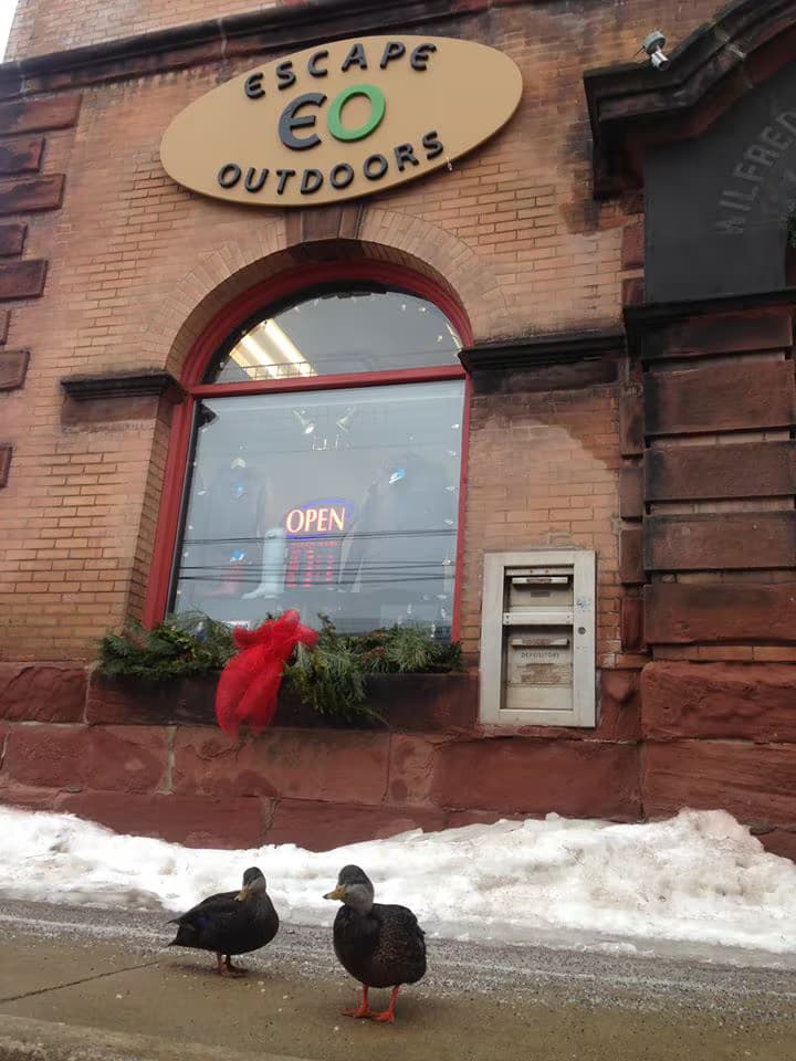 Escape Outdoors