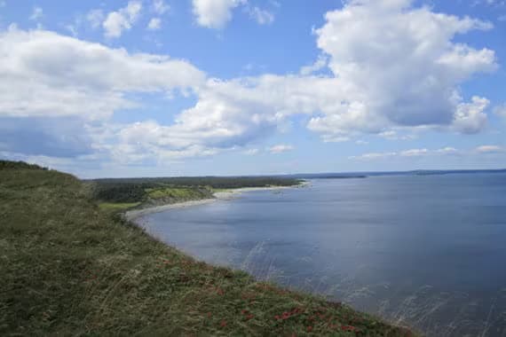 Gull Cove Trail