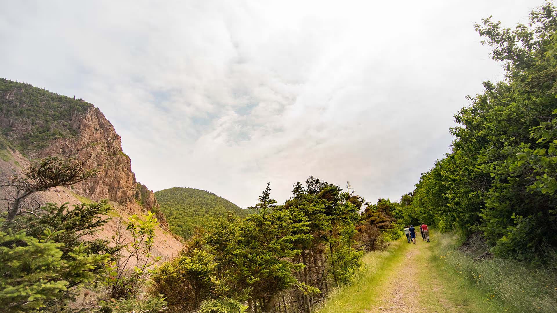Le Chemin du Buttereau Trail