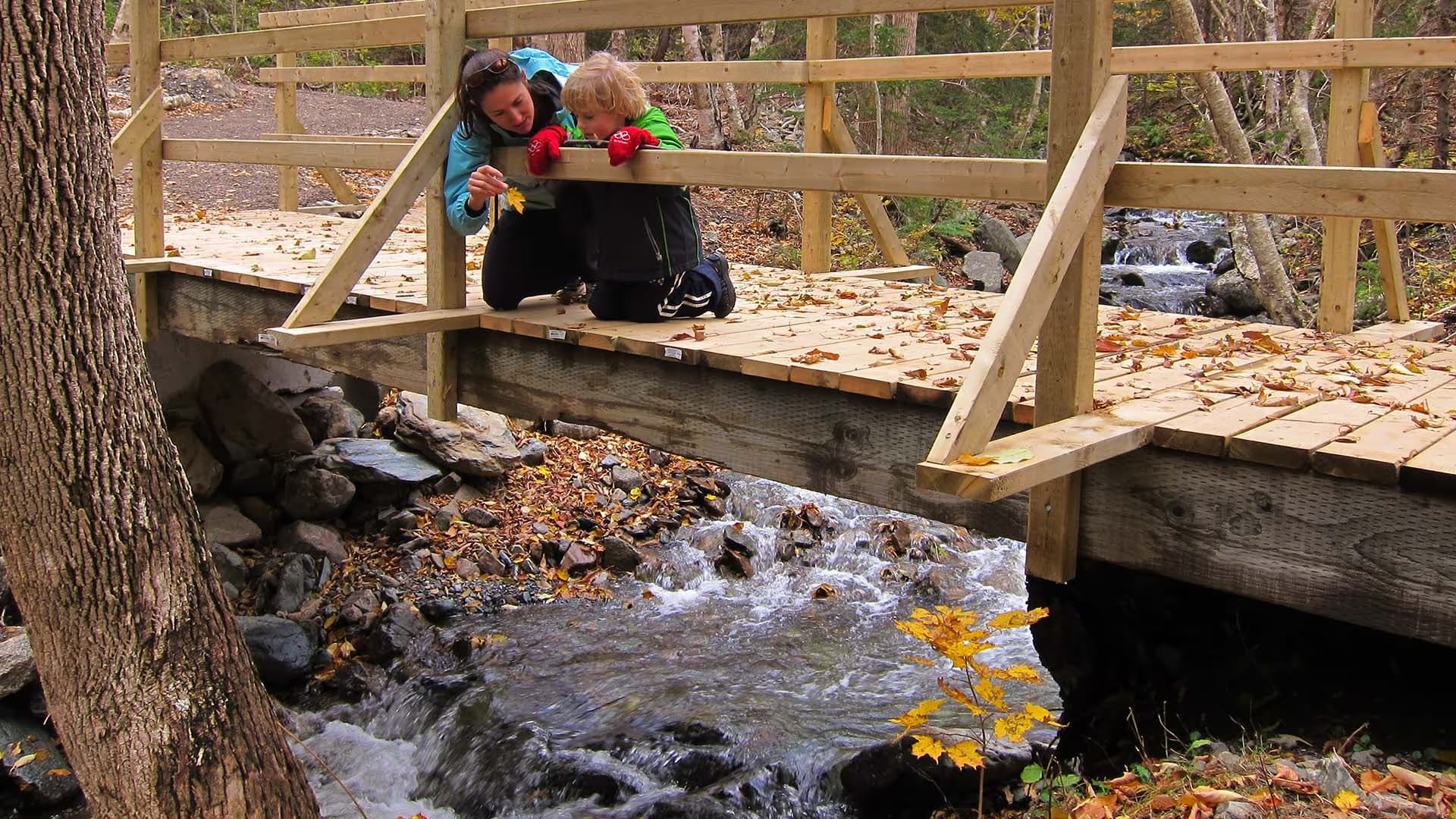 Le vieux chemin du Cap-Rouge Trail