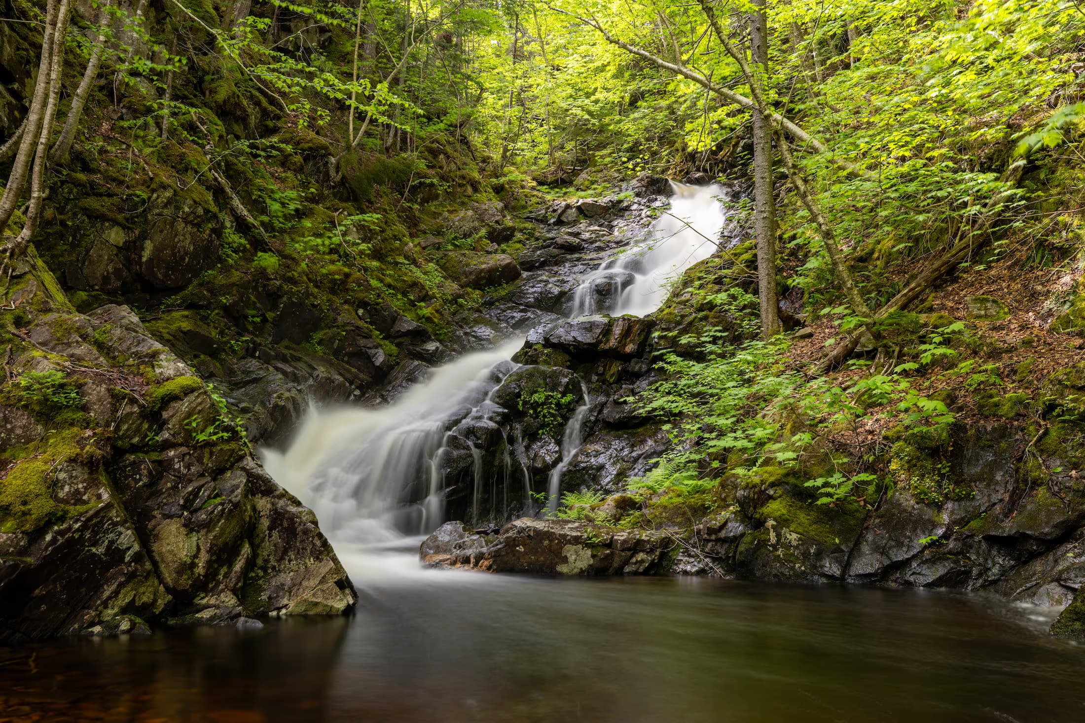 MacIntosh Brook Falls Trail