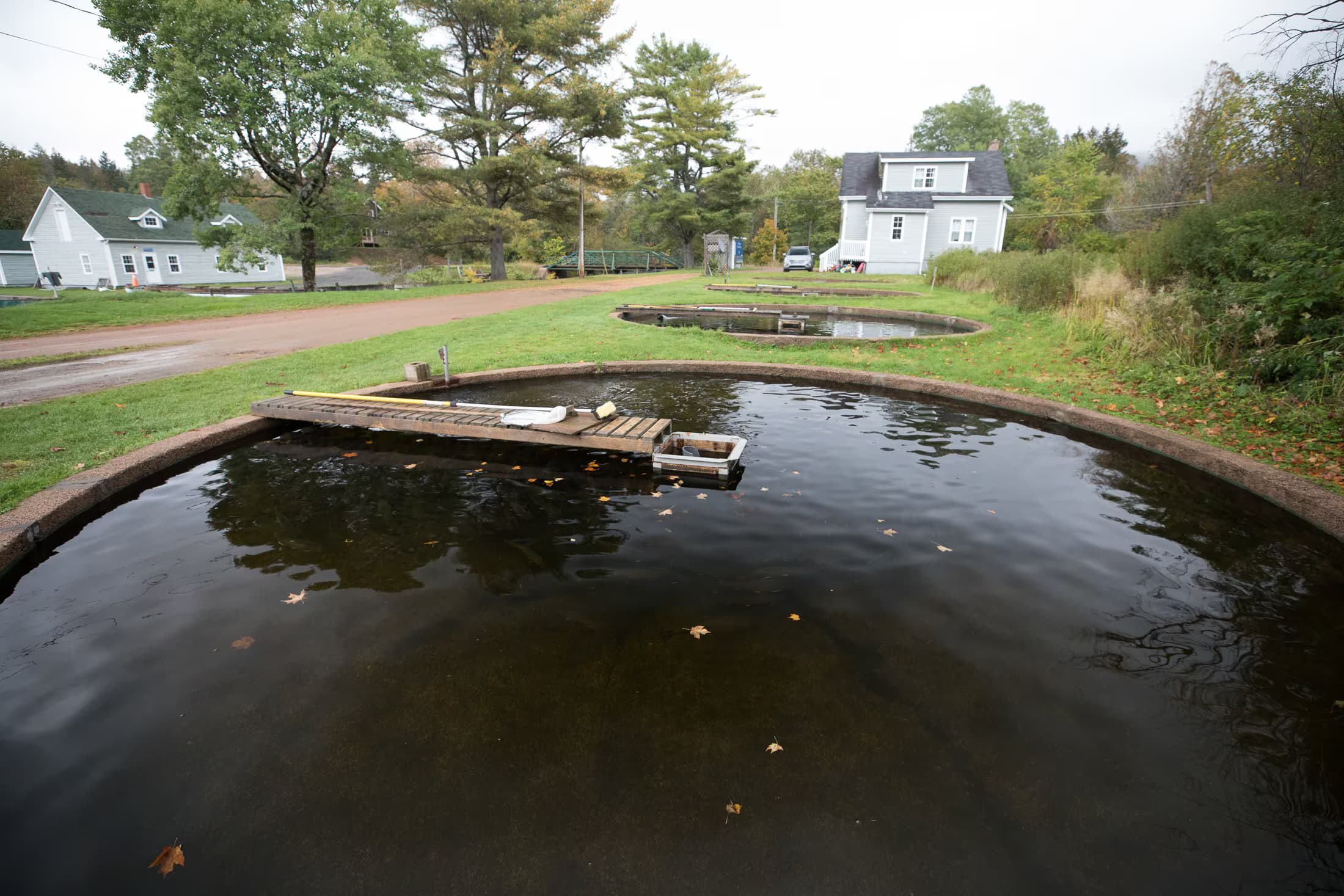 Margaree Fish Hatchery