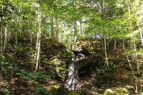 River Denys Mountain