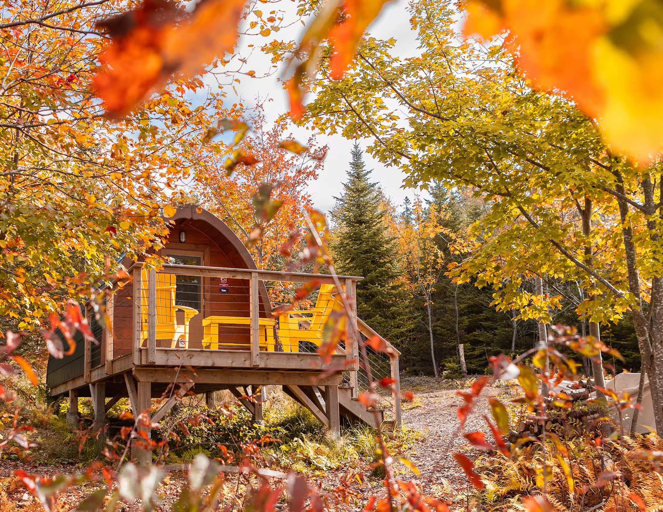 Sally’s Brook Wilderness Cabins