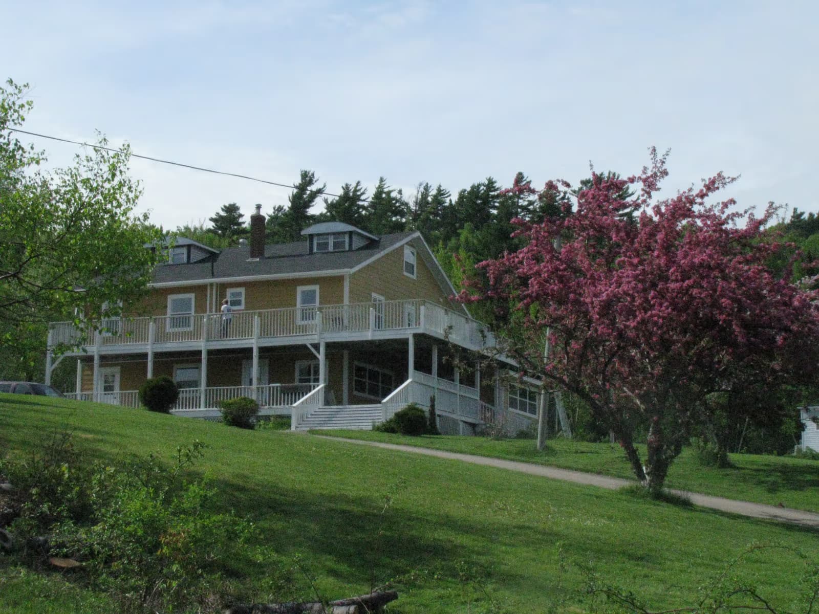 The Island Inn