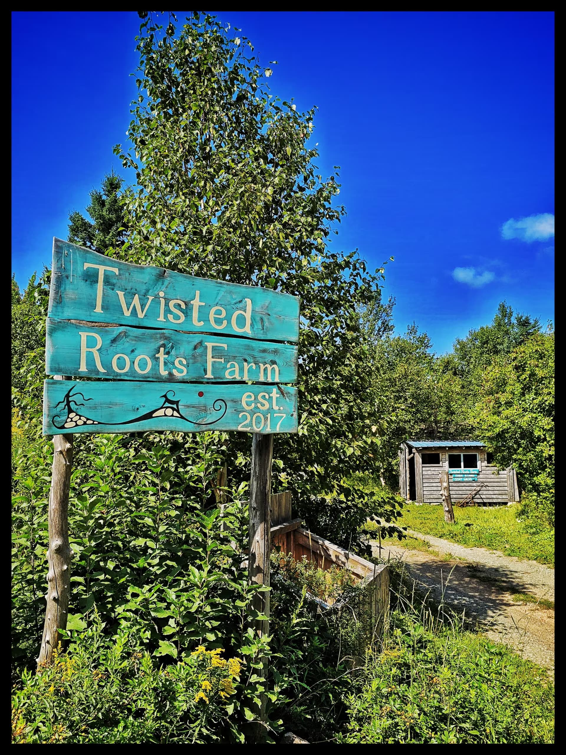 Twisted Roots Farm