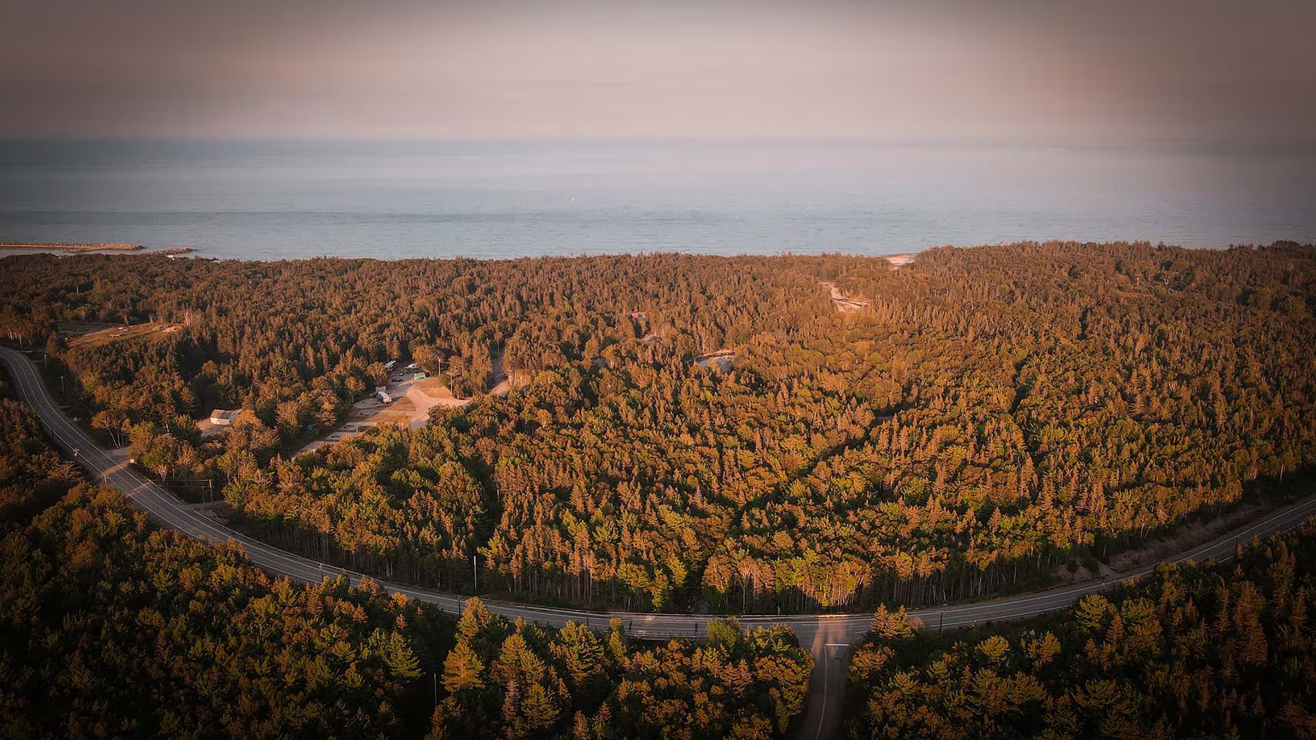 Avoca Birches Campground