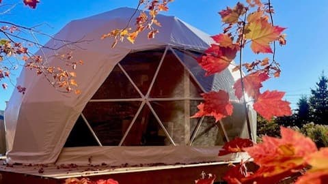 Cozy Dome Luxury Glamping