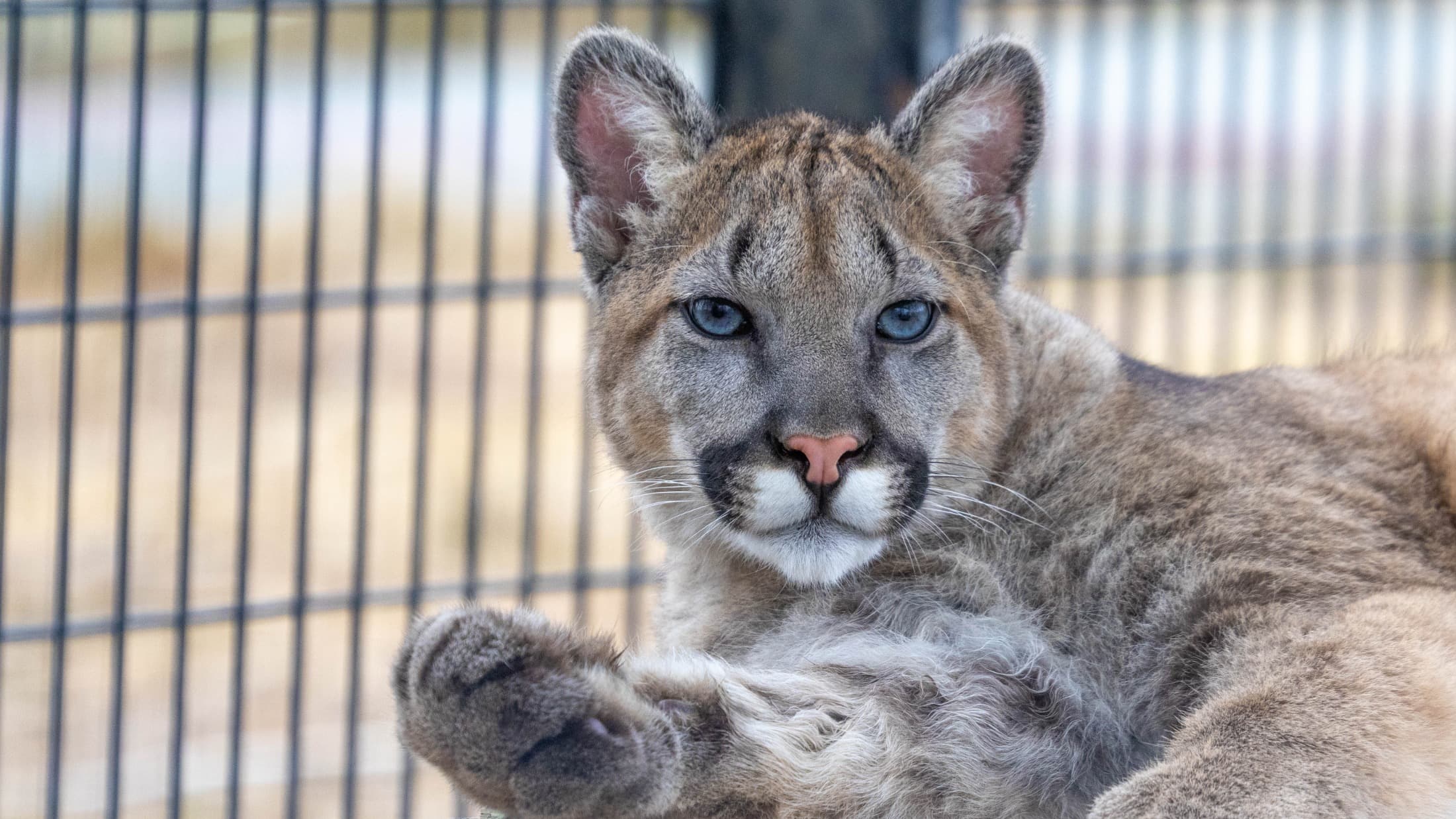 Two Rivers Wildlife Park